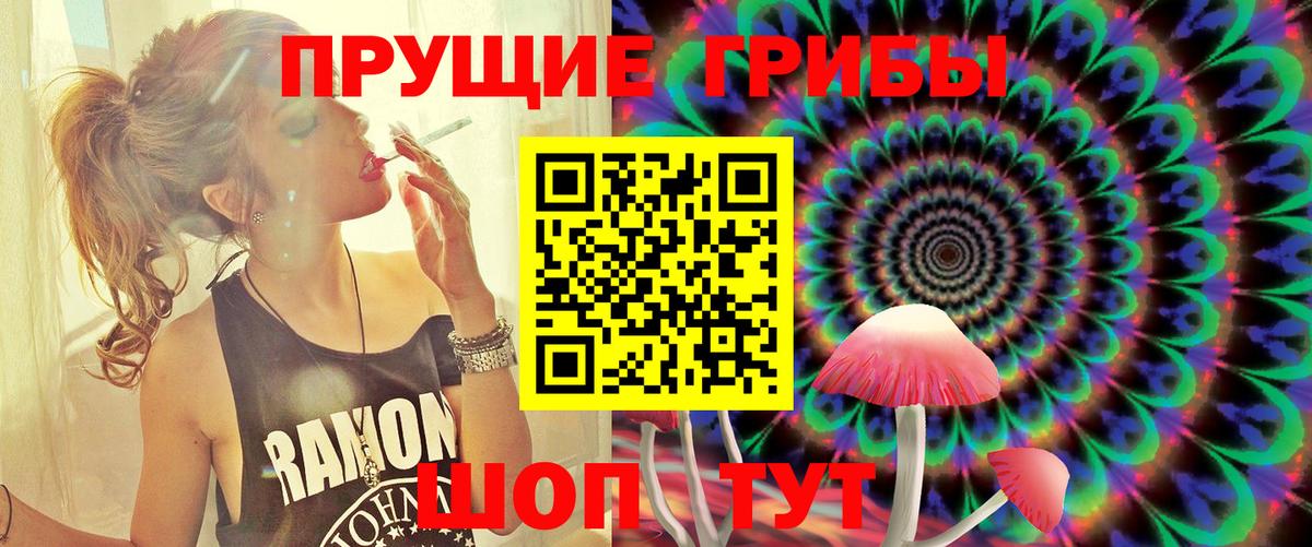 Усть-Джегута  Псилоцибиновые грибы ЛСД  Вход с VPN 
